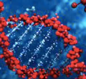 3D illustration of a DNA double helix with red and blue molecular structures